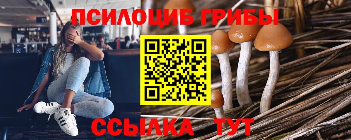закладки  Псилоцибиновые грибы GOLDEN TEACHER  Галлюциногенные грибы MAGIC MUSHROOMS  Вход с VPN  Мончегорск 